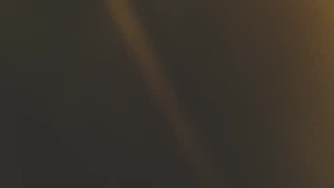 Misha online show from October 7, 11:39 am