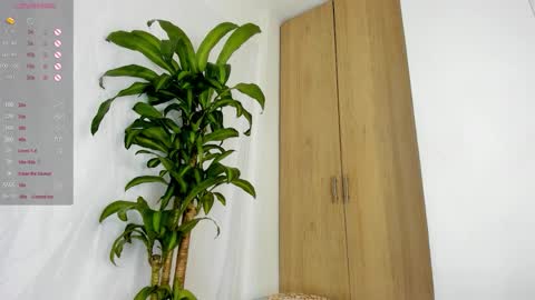 missangeldust online show from November 29, 12:13 pm