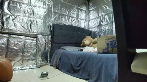 SCARLETH online show from November 24, 2:54 am