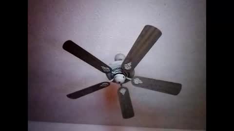 BobbyMitchGa online show from December 15, 7:24 am