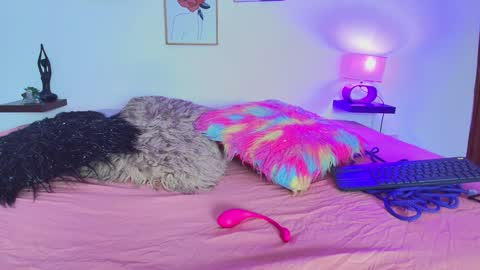 Miwa  online show from February 6, 8:23 pm