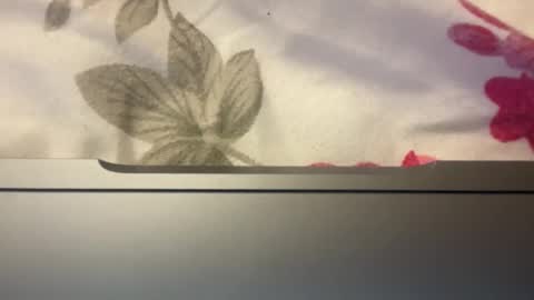 Jlexis online show from October 28, 2:56 am