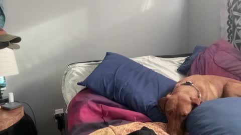 Snapshot of mntuila chatting on February 2, 3:39 pm MNTuiLa online show from February 2, 3:39 pm