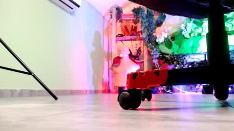 Monika online show from October 14, 1:58 pm