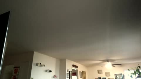 Monkee Dance online show from February 4, 5:12 pm