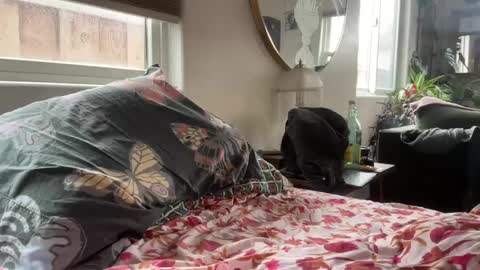 moreplease413 online show from December 27, 8:18 pm