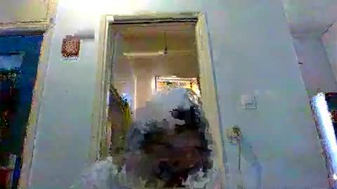 mppempis81 online show from February 3, 6:22 am