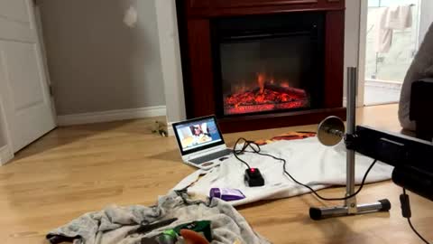 mr_a420 online show from June 30, 11:53 am