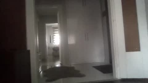 Nikola online show from March 13, 6:27 am