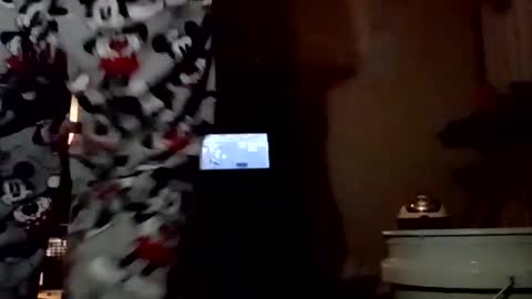 muddflapz online show from October 6, 10:55 am