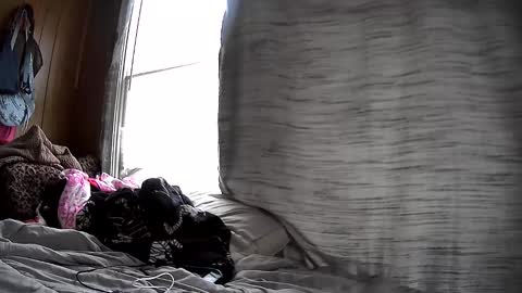 mumnxdor online show from February 3, 4:11 pm