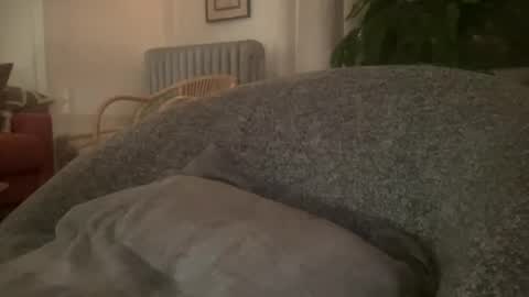 muslgut online show from February 16, 3:04 am