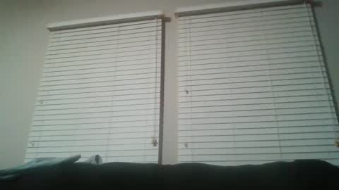 Snapshot of my_little_vienna_sausage chatting on January 20, 12:36 am vienna online show from January 20, 12:36 am