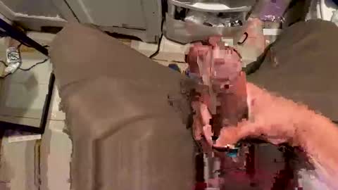 nairda2senoniuq online show from April 4, 12:50 am