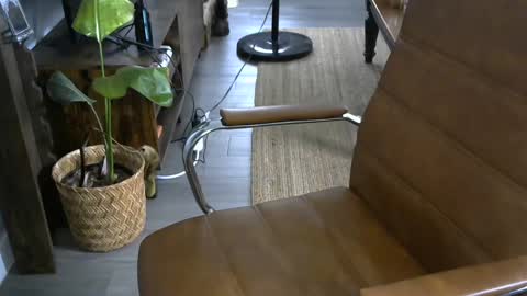 Snapshot of nareth338 chatting on September 21, 8:46 pm nareth338 online show from September 21, 8:46 pm