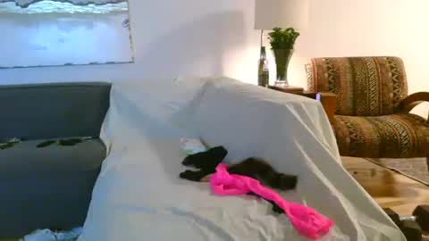 nassobout online show from March 4, 1:13 am