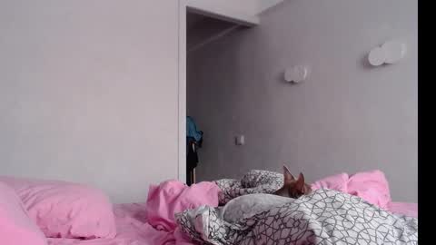 Chris Carrie online show from February 4, 4:05 am