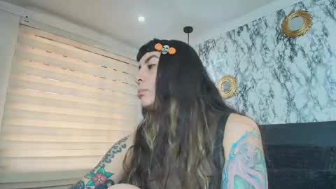 Kitten online show from November 12, 11:56 am