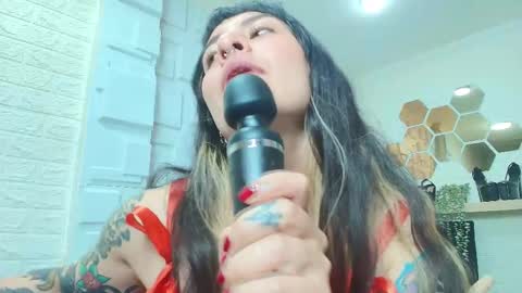 Kitten online show from November 25, 11:42 am