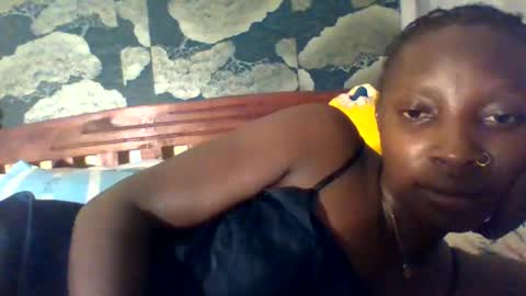 nova online show from March 2, 7:53 pm