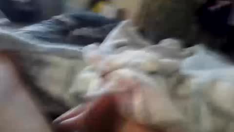 naughtyfelons6969 online show from October 4, 9:07 am