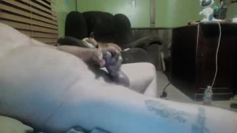 ned is naughty online show from March 7, 10:24 am