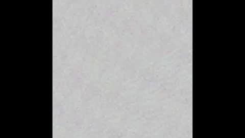 Negrito999 online show from December 17, 6:09 am