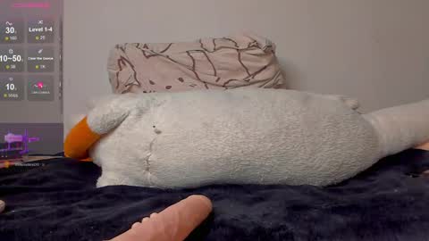 Neil online show from April 2, 10:00 am