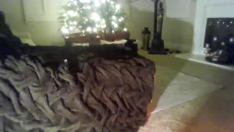 nelssonschmelsson online show from December 15, 12:34 pm