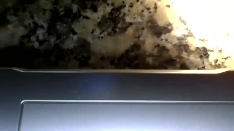 Volsonov online show from October 19, 6:56 pm