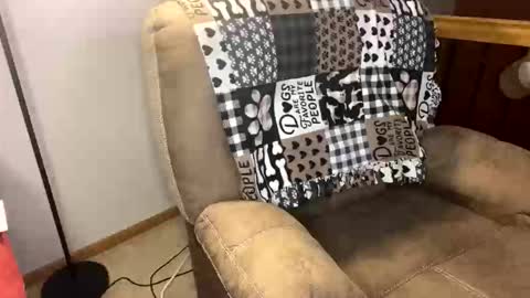 neverwinter44 online show from March 7, 9:42 am