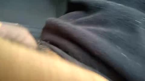 Snapshot of nexthorey chatting on September 17, 2:42 pm Ness online show from September 17, 2:42 pm