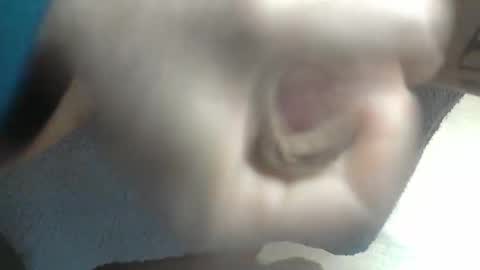 ni983 online show from December 18, 8:42 am