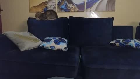 Lilly online show from February 22, 9:48 pm