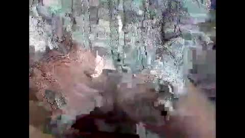 TheCock online show from May 9, 3:34 am