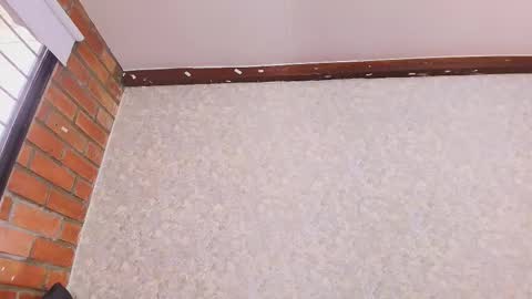 Nicol online show from November 4, 7:37 pm