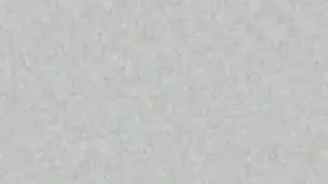 Nikki Ramone   online show from April 21, 11:39 am