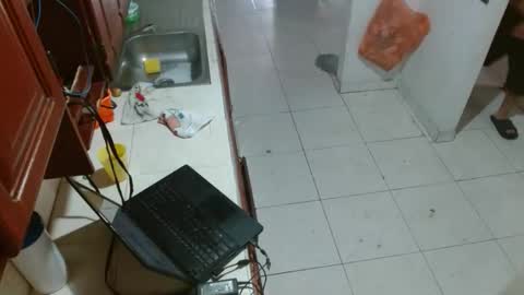 nikylatin4u online show from December 14, 8:04 pm