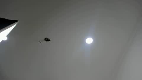 Noah online show from October 21, 4:17 am