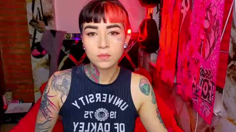 Nova kitty tx online show from March 17, 12:54 pm