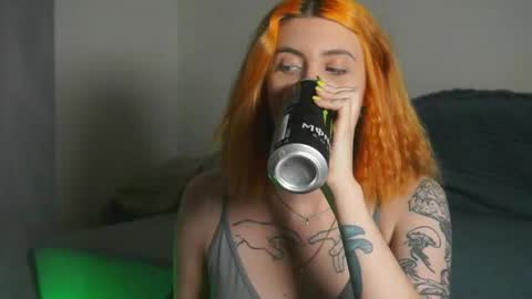 Nova online show from October 14, 7:06 pm