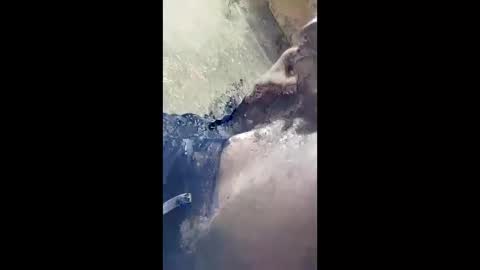 ntomana online show from December 21, 11:00 pm