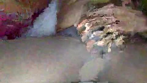 nylon2412 online show from April 18, 9:11 am