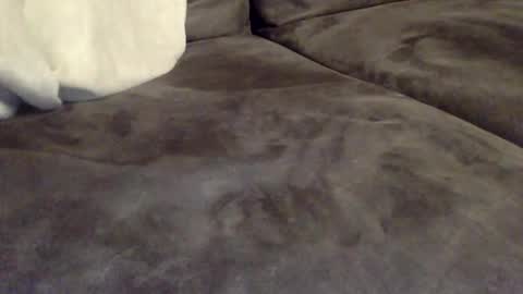 oktobus74 online show from October 31, 5:57 pm