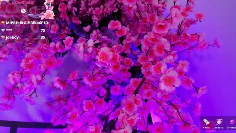 olive  online show from September 26, 6:21 am