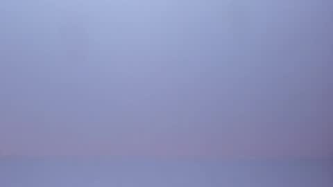 OLIVIA online show from March 12, 12:58 am