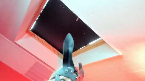 Olivia online show from February 5, 11:34 am