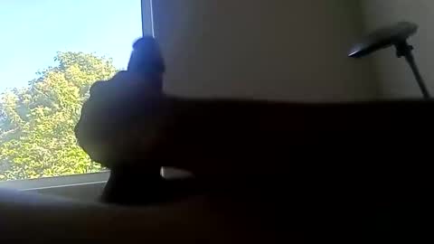 ootripoo online show from September 19, 6:55 pm