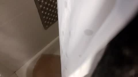 TsJojo online show from December 21, 8:04 pm