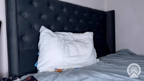 origamicat online show from January 26, 12:22 pm